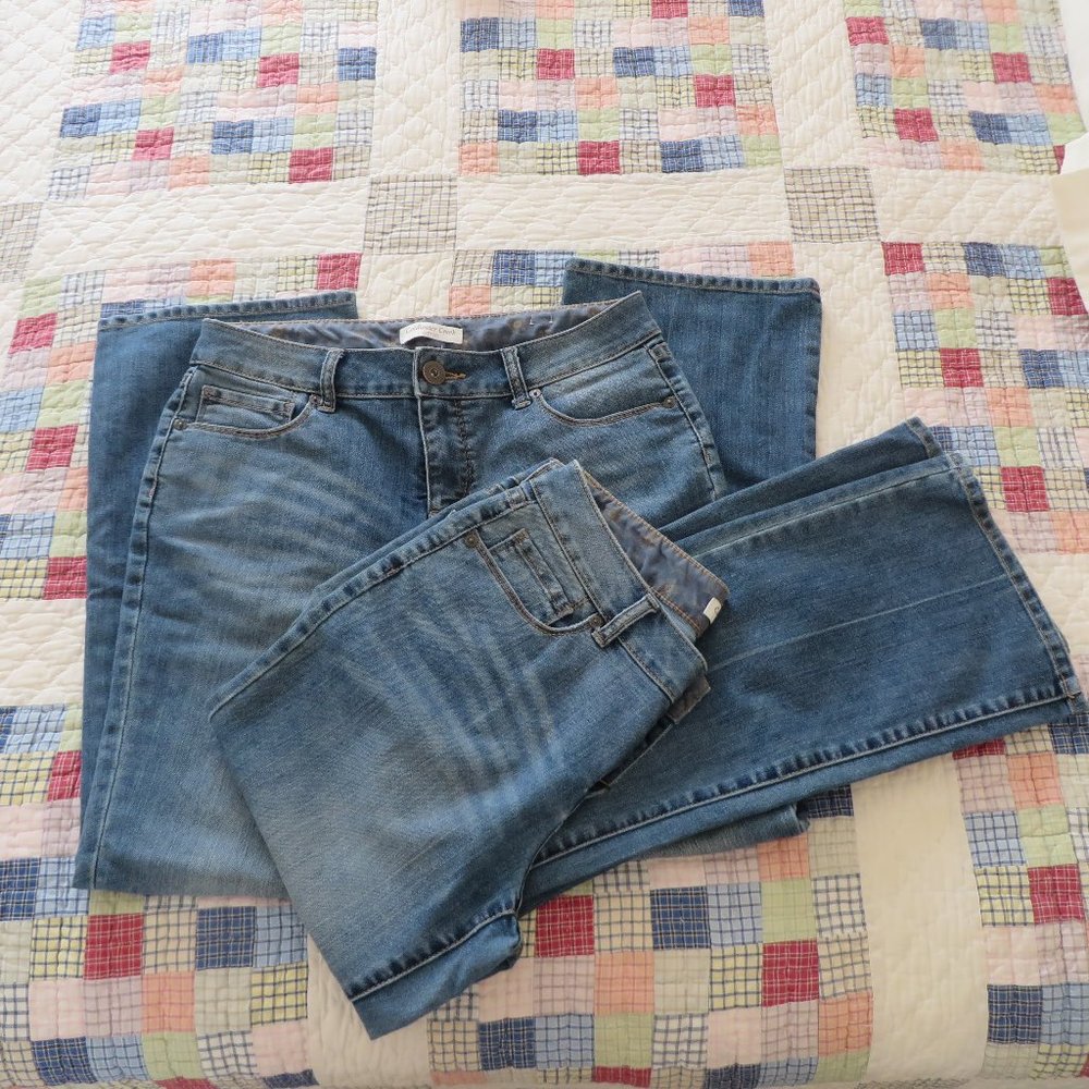 Coldwater Creek city fit jeans 2 PAIR Bundle Sz 8p